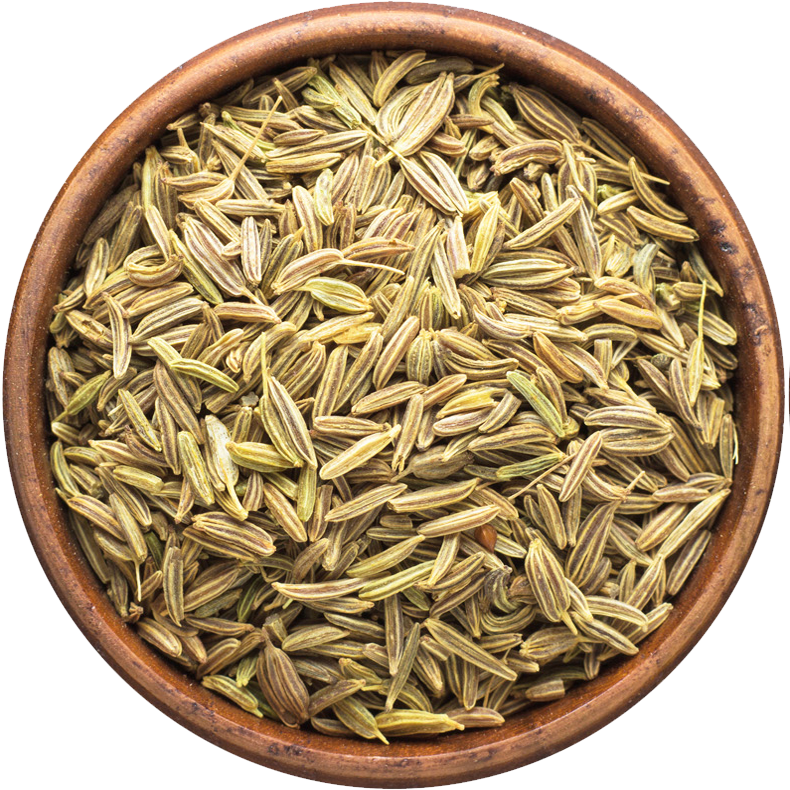 Kümmel