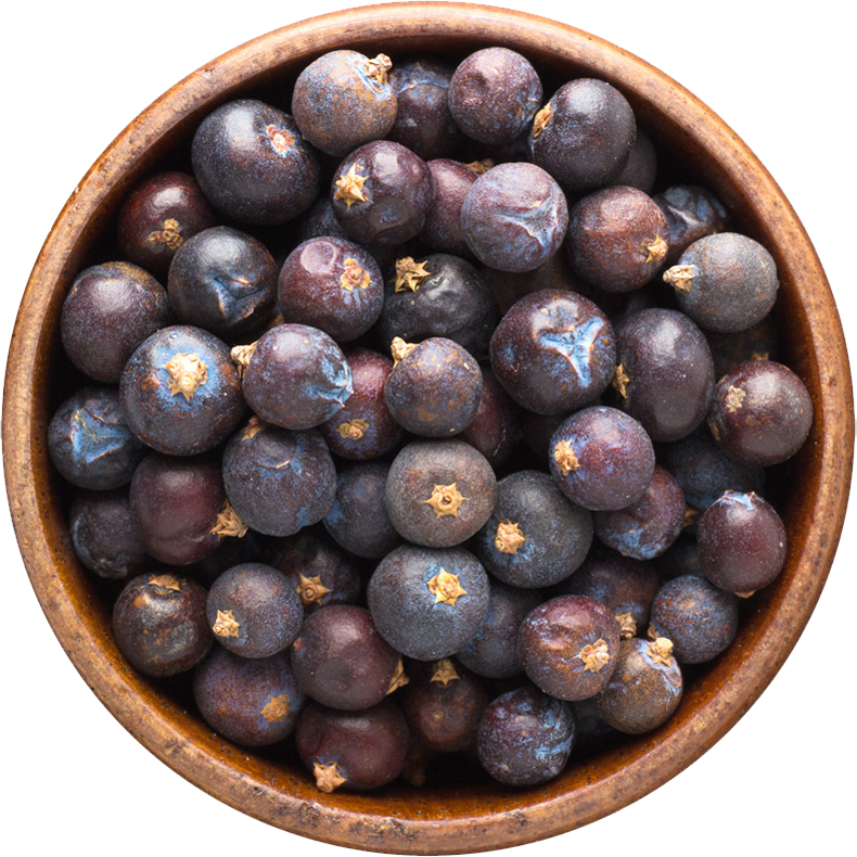 trockene-Wacholderbeeren